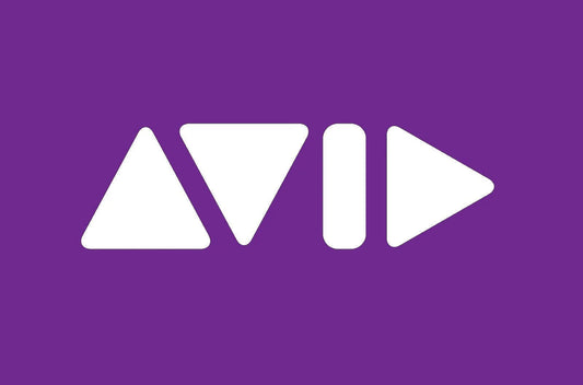 AVID PT 310P
